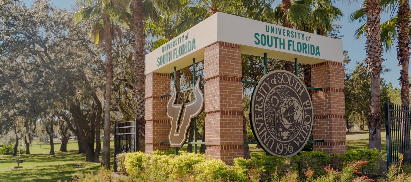 USF Case Study Featured Image